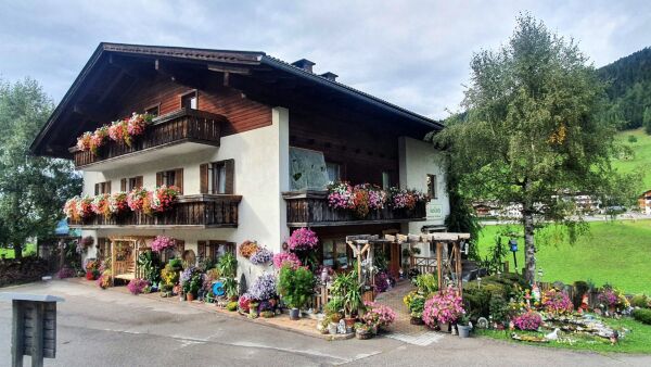 Haus Renate, Kartitsch